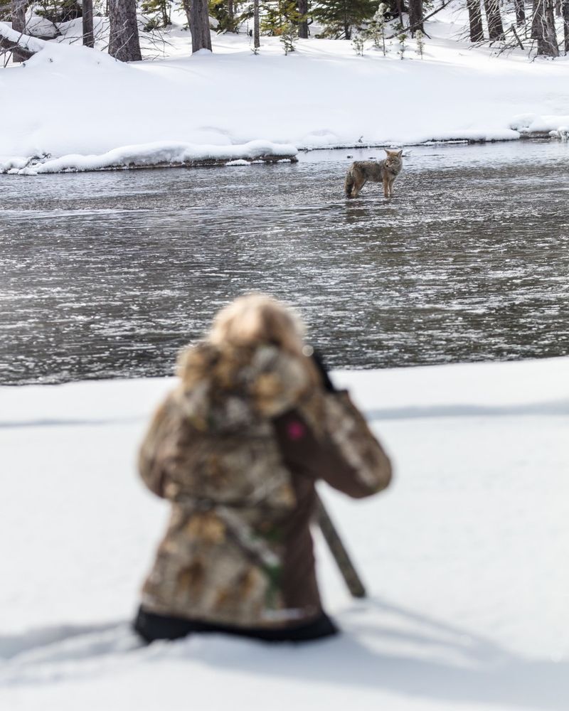 Keep a Safe Distance