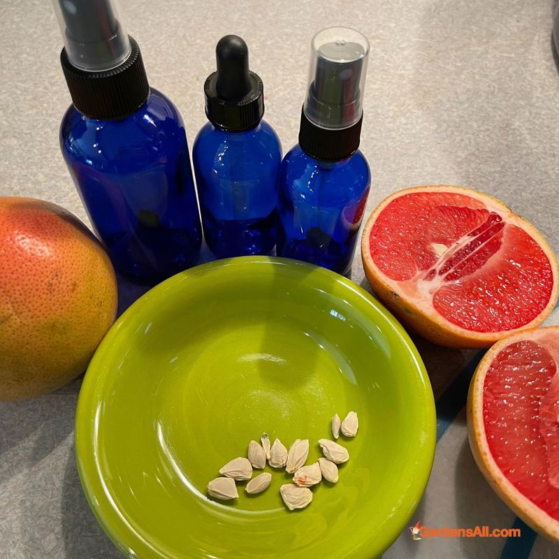 Grapefruit Seed Extract Solution