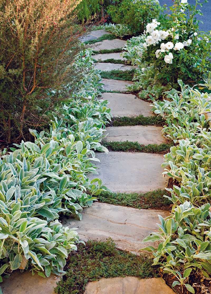 Stone Pathways