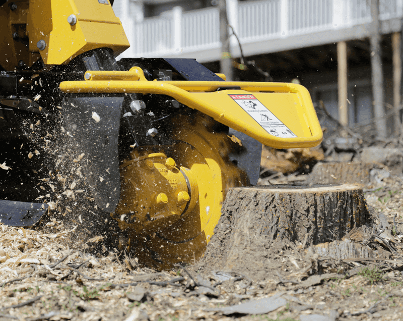 Reflecting on the Journey