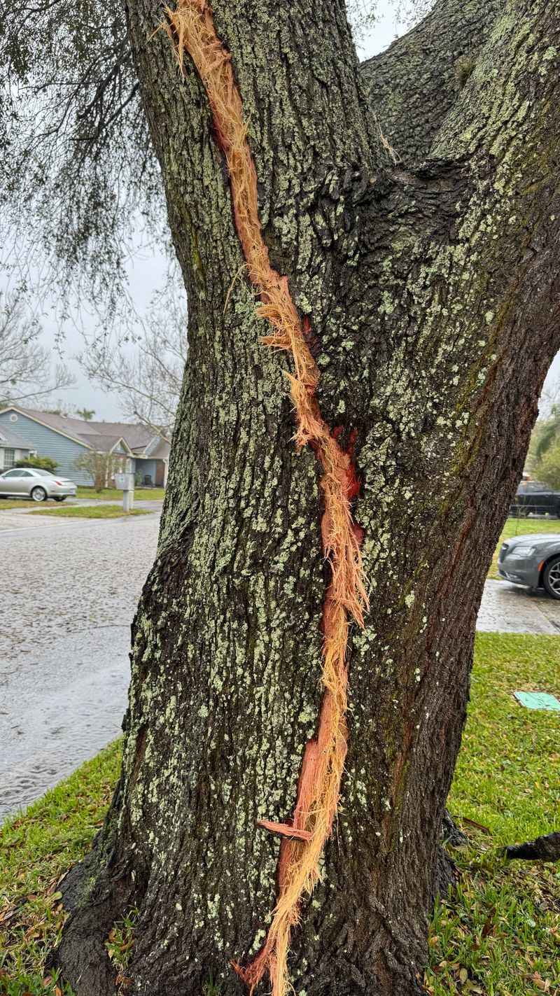 It's Already Been Hit by Lightning