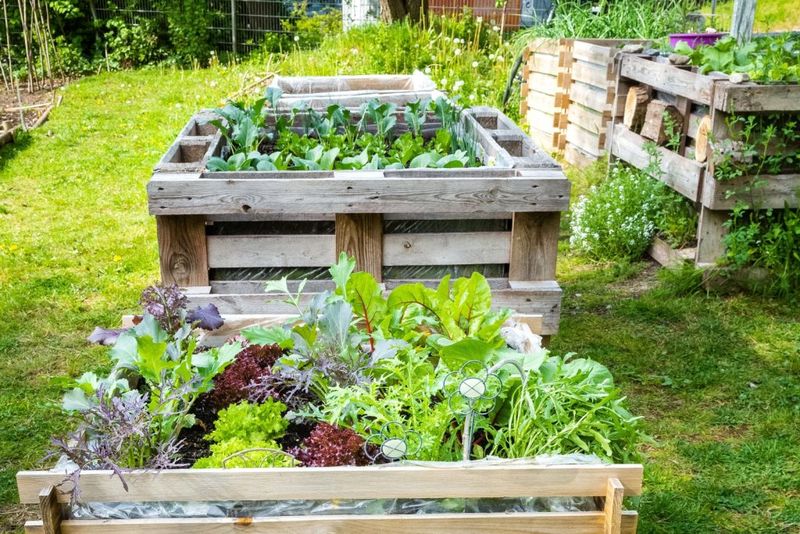 Garden Bed with Pallet Frame