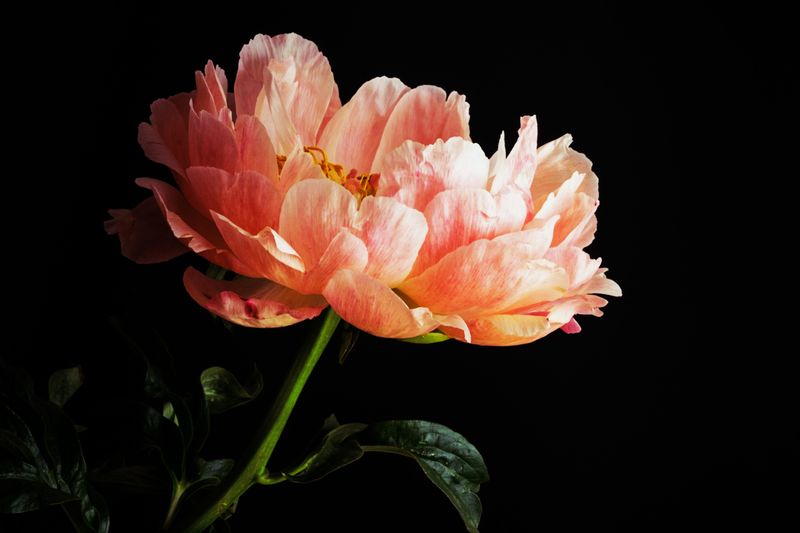 Rule 15: Historical Significance