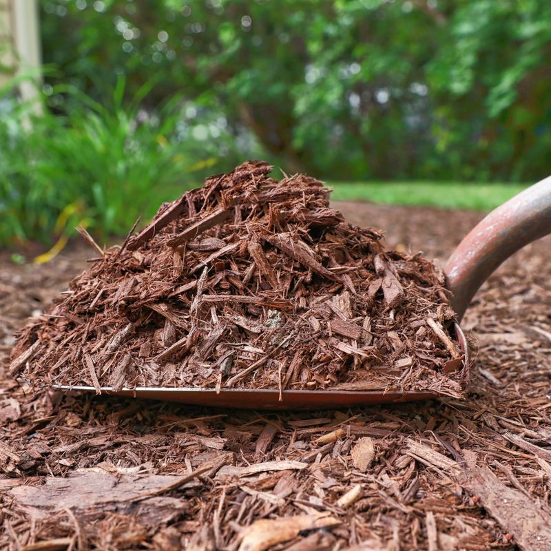 Rule 8: Mulching Benefits