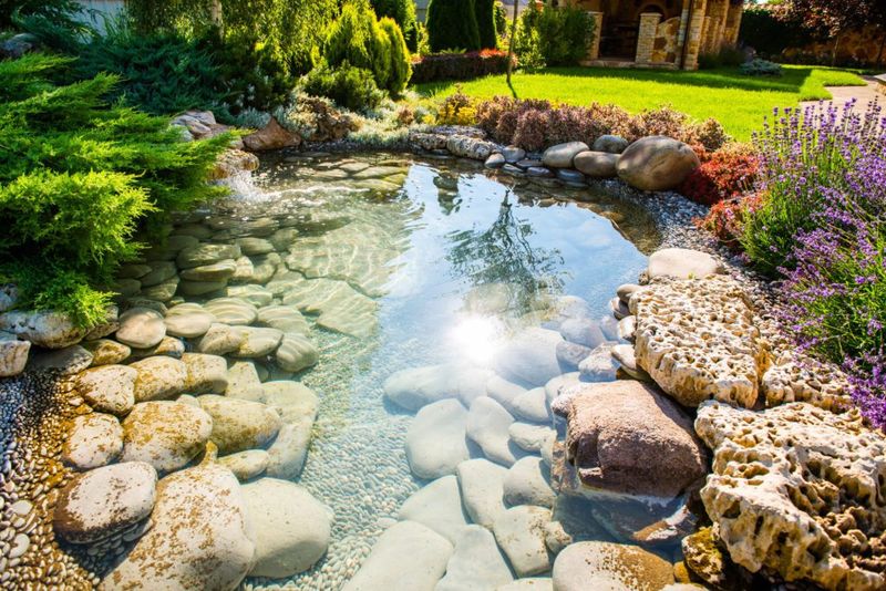 Tranquil Water Garden