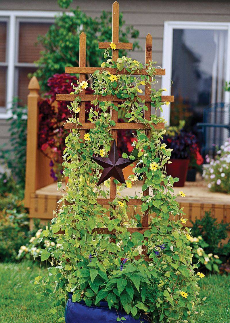 DIY Garden Trellis
