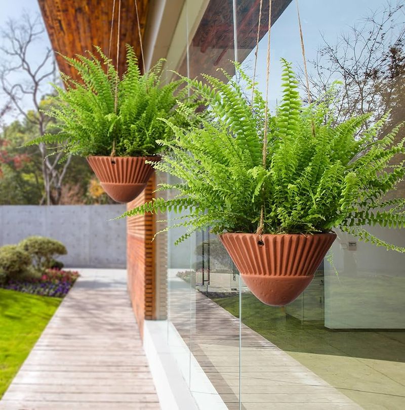 Hanging Terracotta Pots