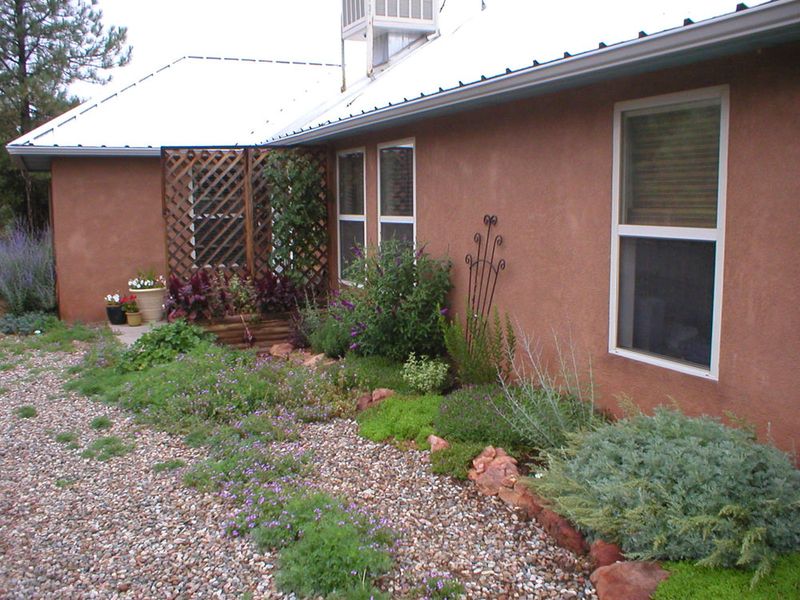 Ignore Local Climate Patterns