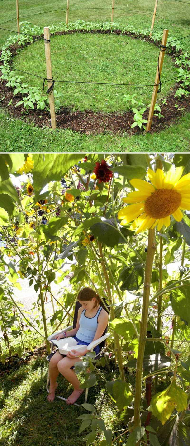 Sunflower Fort (Kid-Friendly!)