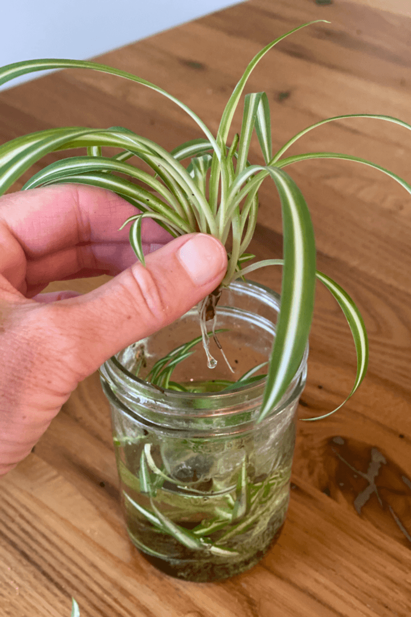 Educational for Kids