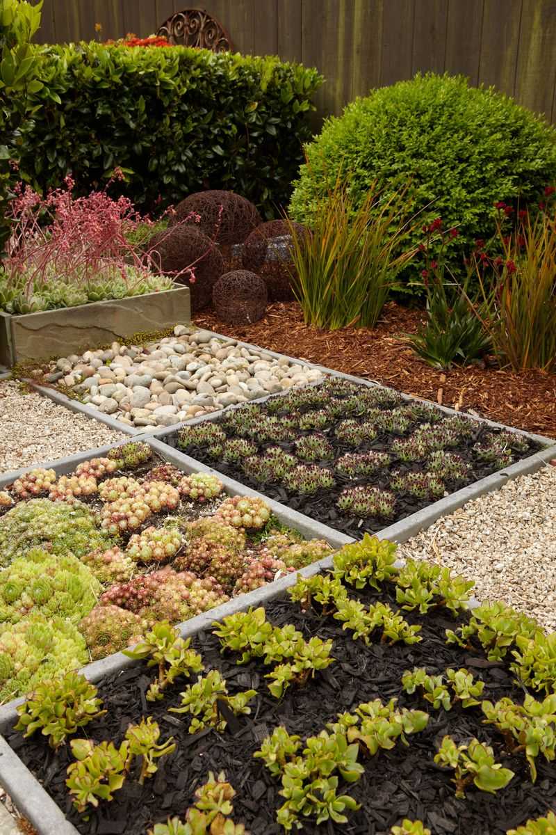 Enhances Garden Appearance