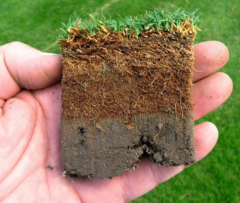 Improves Soil Health