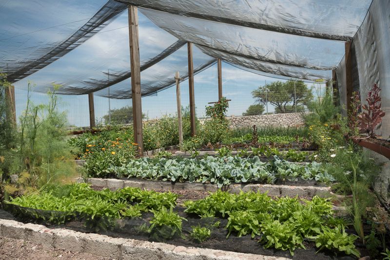 Secret 16: Wind Protection