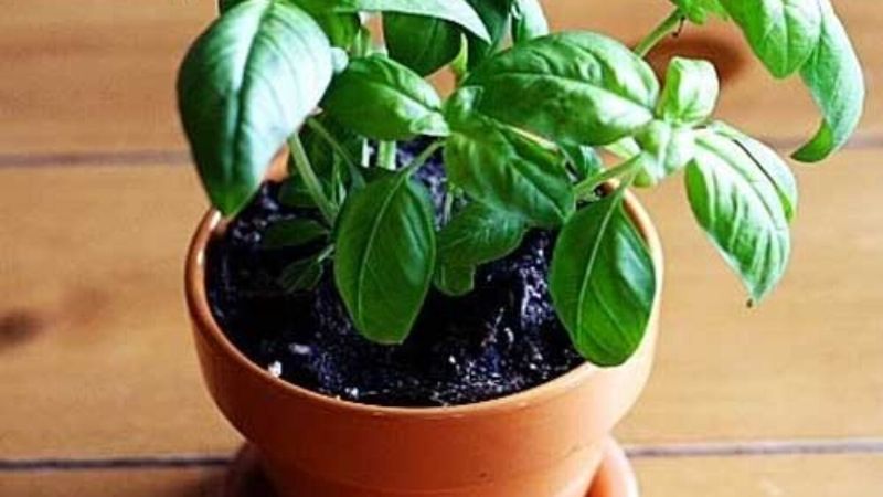 Secret 7: Avoiding Cold Drafts