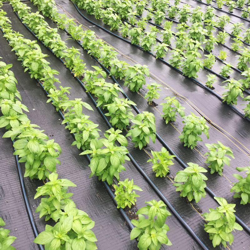 Secret 8: Proper Spacing