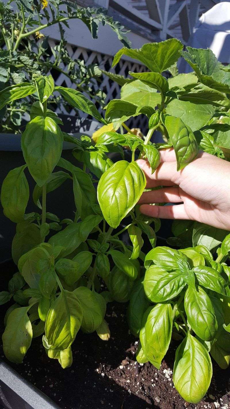 Secret 9: Avoiding Overcrowding