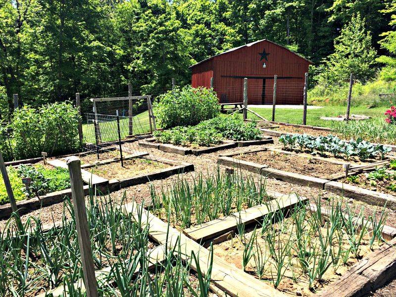 Secret 10: Rotating Crops for Health