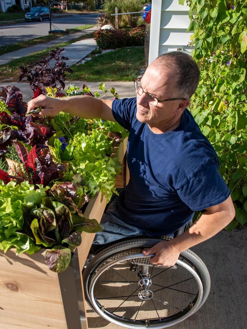 Senior gardener using elevated raised bed for accessible gardening