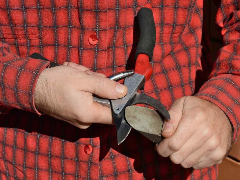 Cleaning Dirty Garden Tools