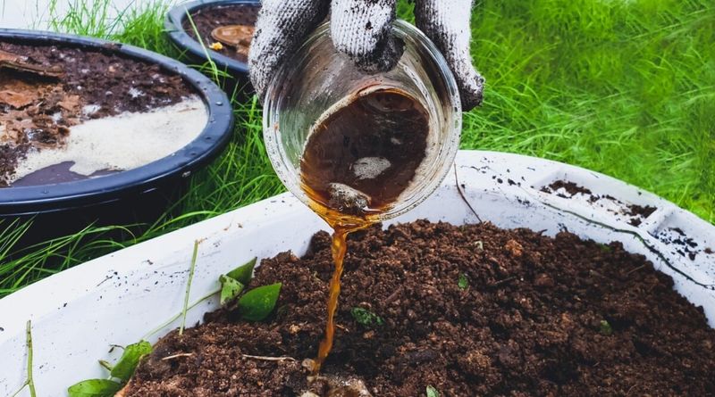 Fertilize Heavy Feeders