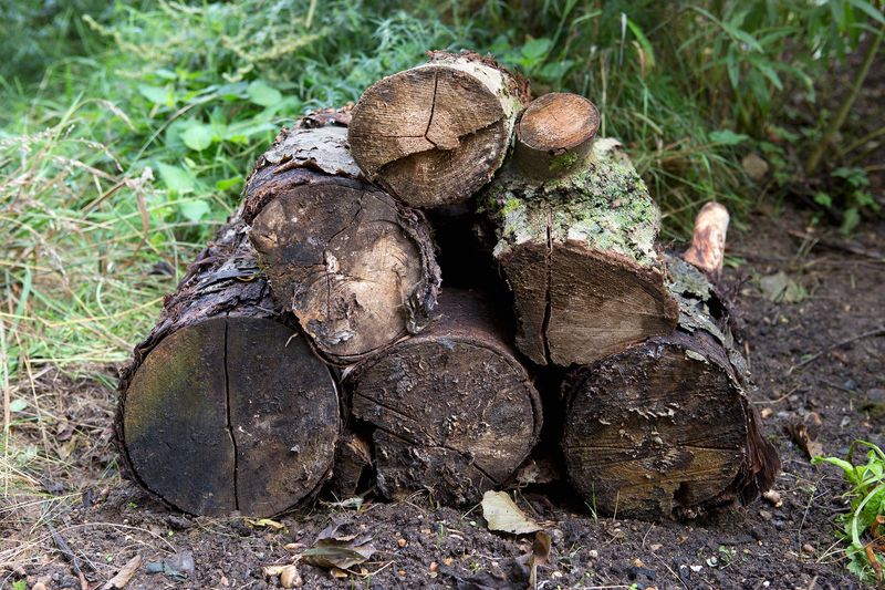 Create a Log Pile