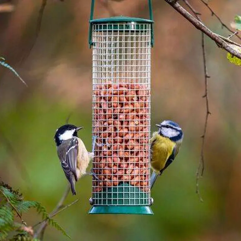 Avoid Overcrowding Feeders