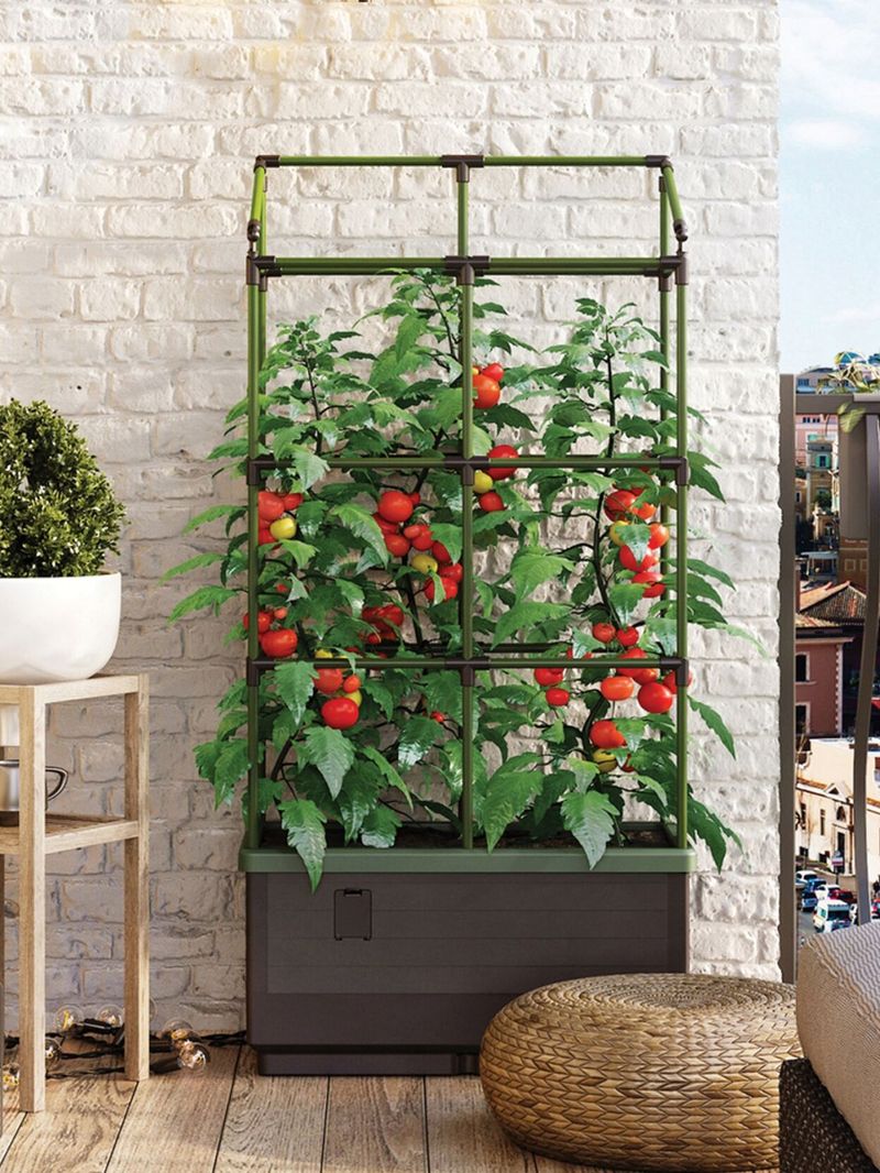 Vertical Gardening Innovations