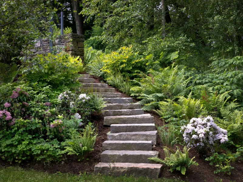 Group Plants by Water Needs (Hydrozoning)