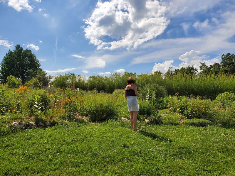 Reflecting on the Journey