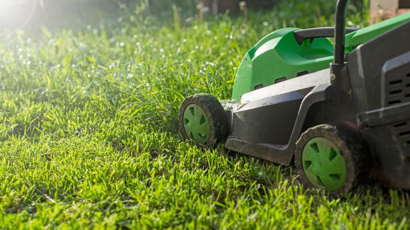 Avoid Mowing Wet Grass
