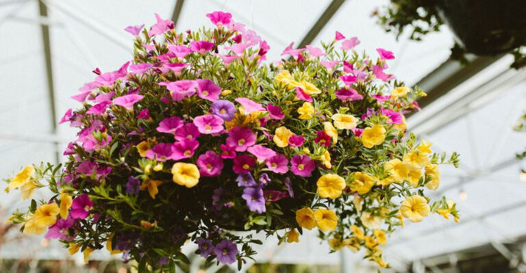 Skip These 5 Common Basket Mistakes – Try These 10 Revival Methods Instead