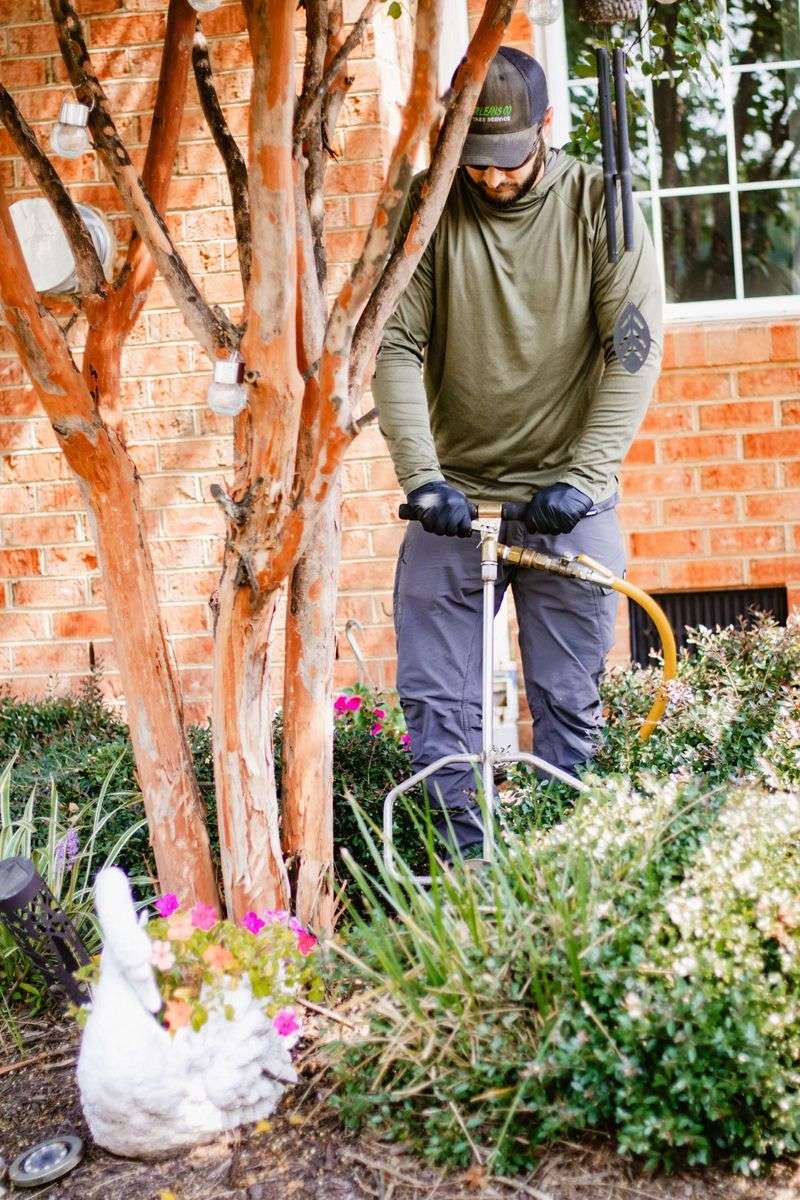 Treating New Plants Like Established Veterans