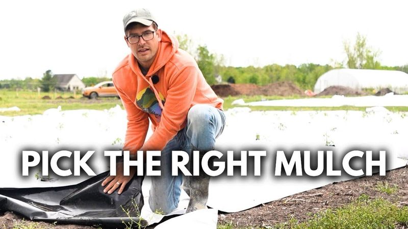 Using Plastic Mulch Incorrectly