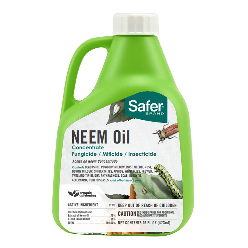 Neem Oil (Nature’s Pest Repellent)