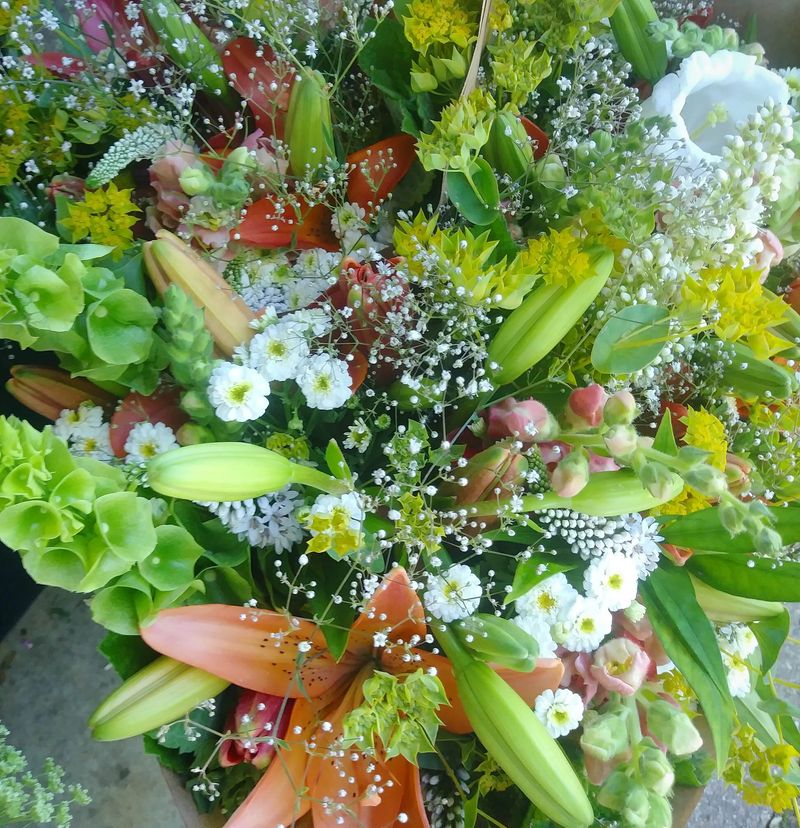 Kinetin – The Anti-Aging Spray