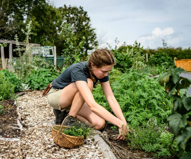 Regenerative Gardening Practices