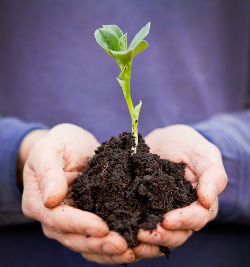 Soil & Prep Secrets - Boost Organic Matter