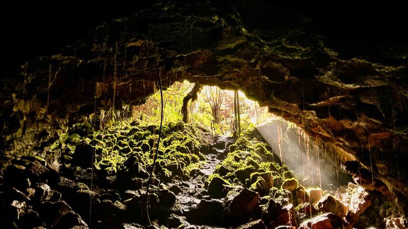 The Lava Tubes of Hawaii