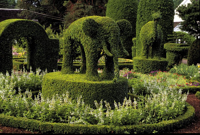 Exquisite Topiary Art