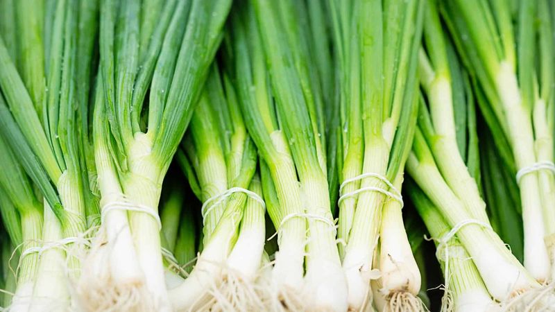 Green Onions