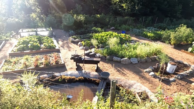 Ignoring Microclimates