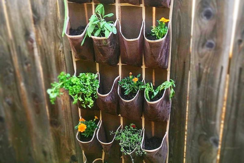 Hanging Fabric Shoe Organizer Garden