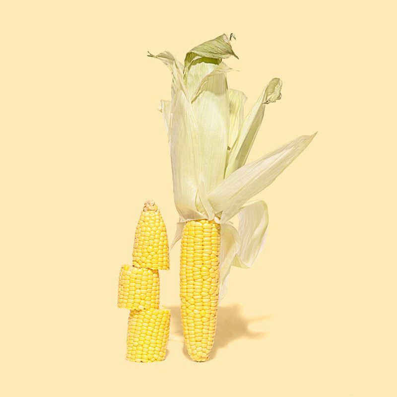 Corn Cobs Cut Into Rings