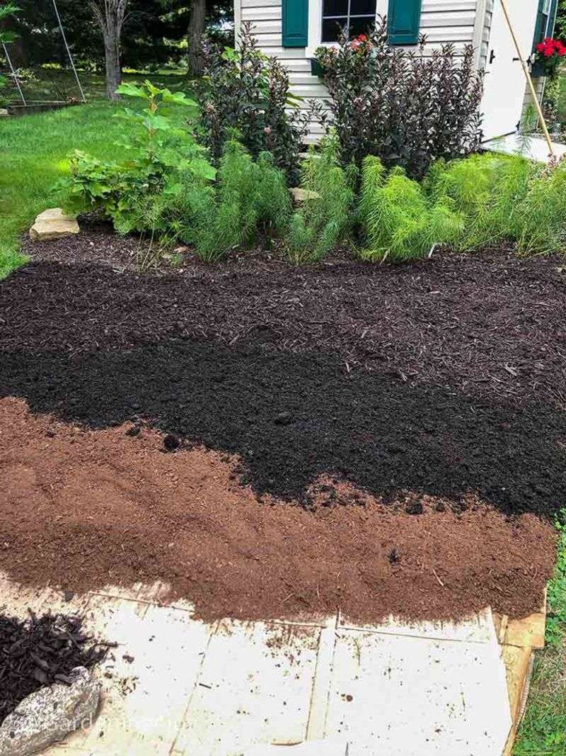 Step 3: Layer Like Lasagna (Sheet Mulching) 🍝