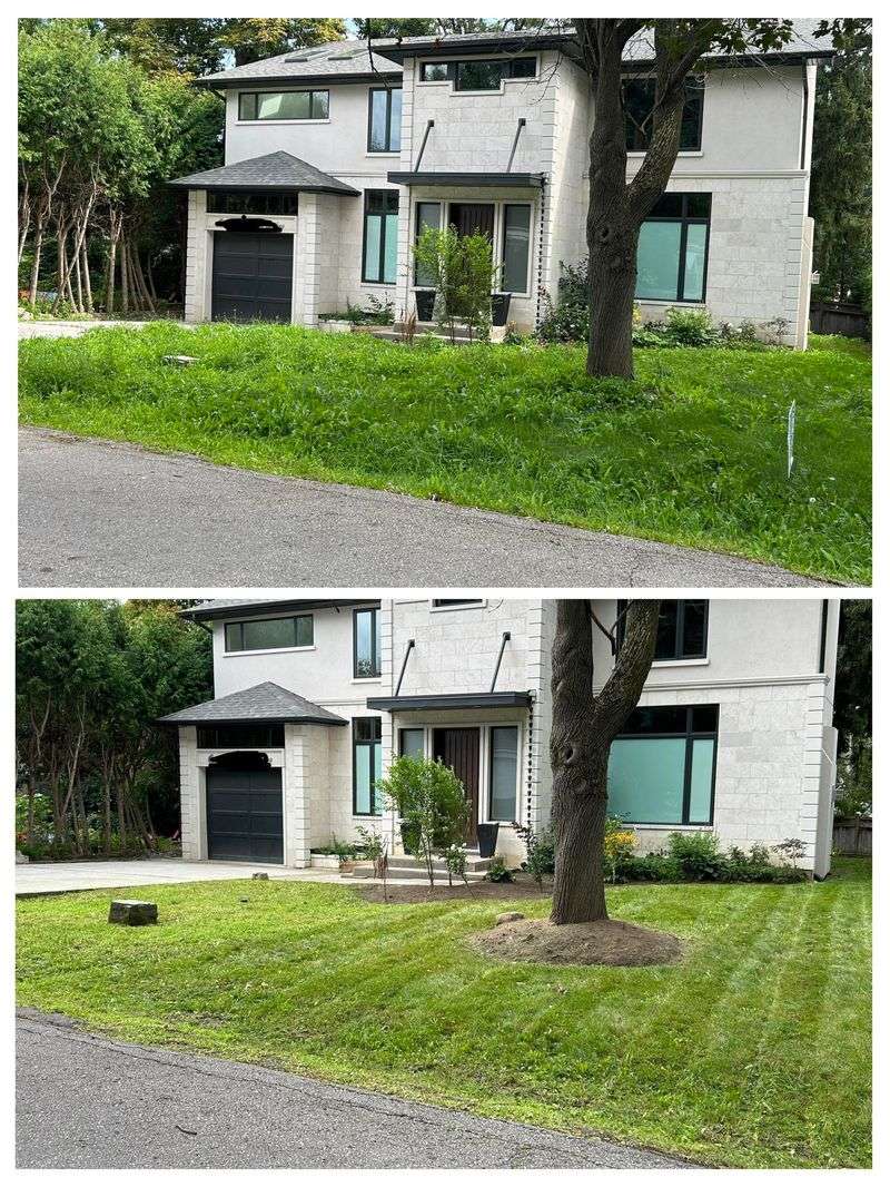 Overgrown Lawns