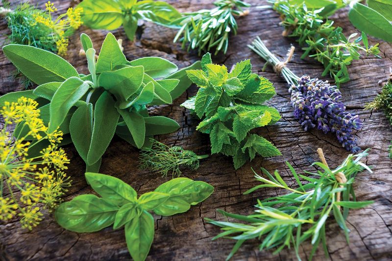 Out-of-season herbs ($4 for wilted basil?)