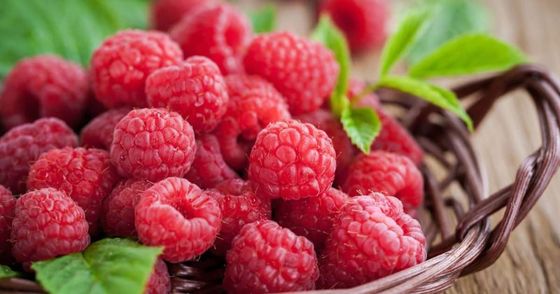 Raspberries