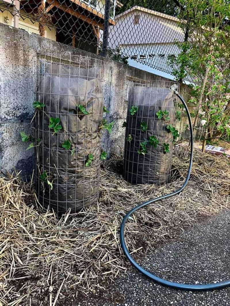 Wire Mesh and Landscape Fabric Cylinder