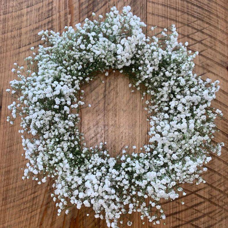 Baby’s Breath (Gypsophila)