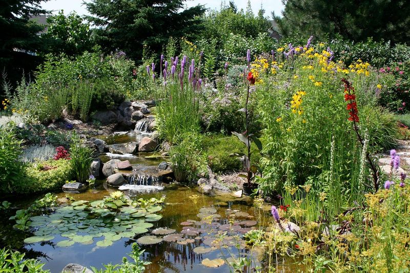 Enhanced Biodiversity